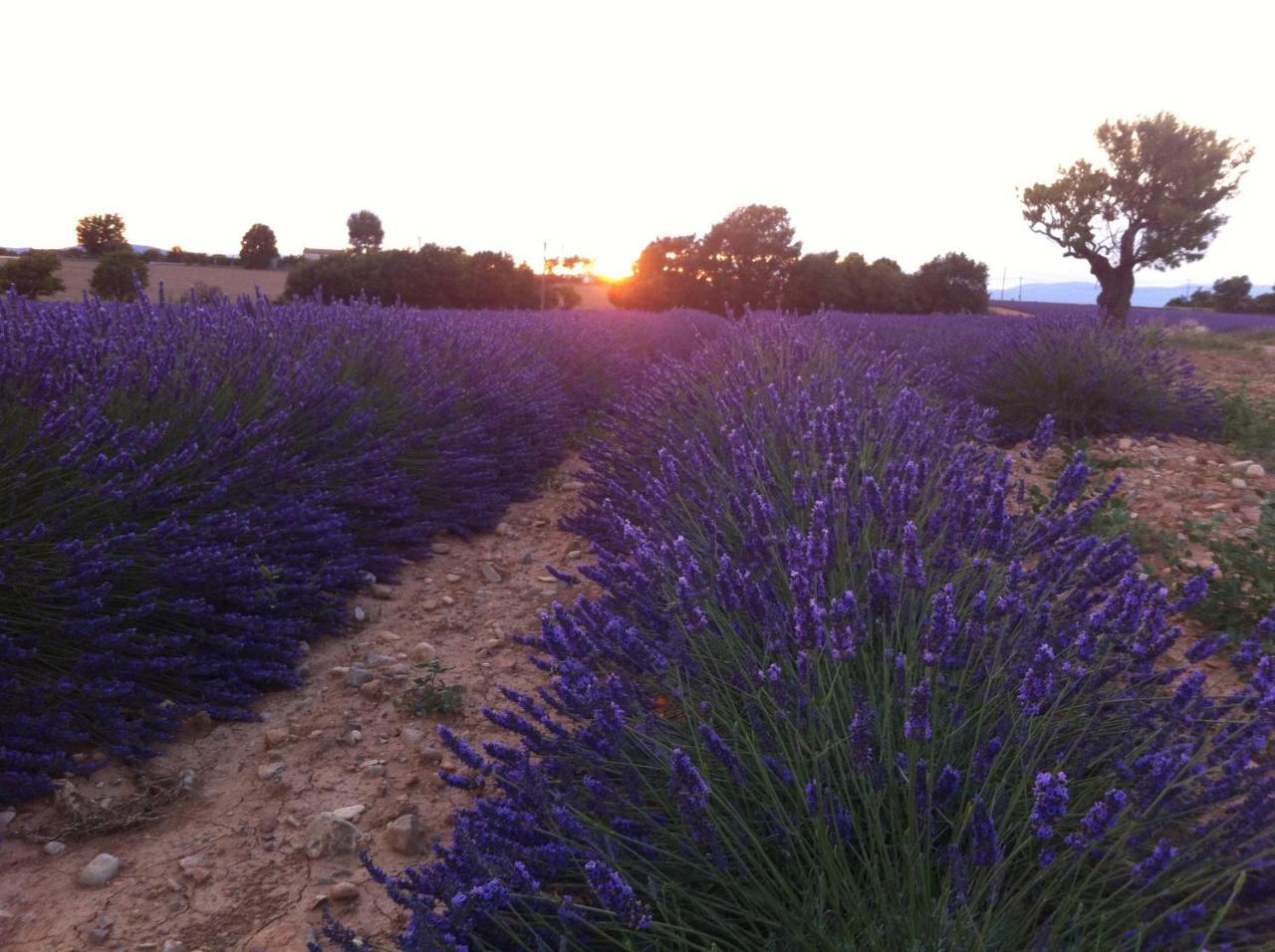 Le Petit Caboulot En Pleine Nature Vaumeilh Luaran gambar
